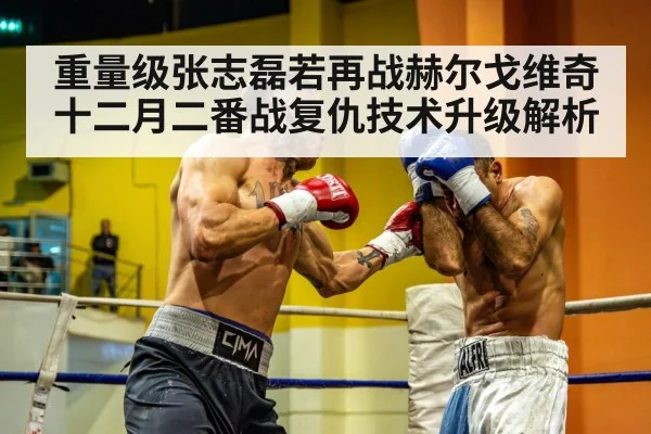 重量级张志磊若再战赫尔戈维奇 十二月二番战复仇技术升级解析